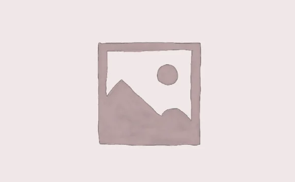 محصول شماره شانزده